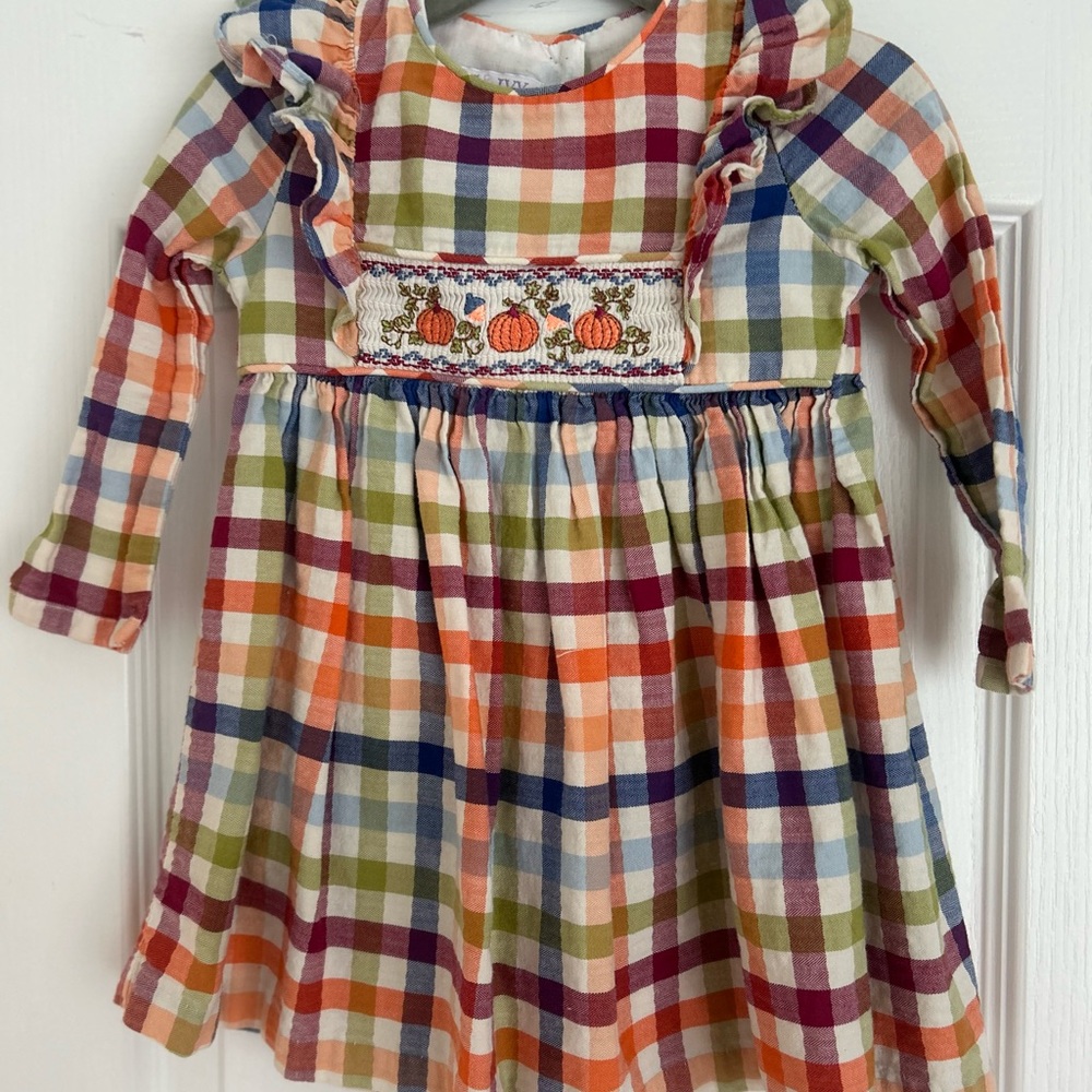 Iris & Ivy Multicolor Plaid Dress with Embroidery